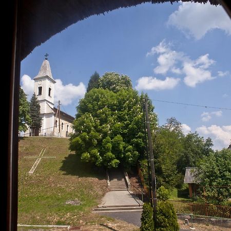St.Michael Panzio Lovaspark Vasszentmihály Стая снимка