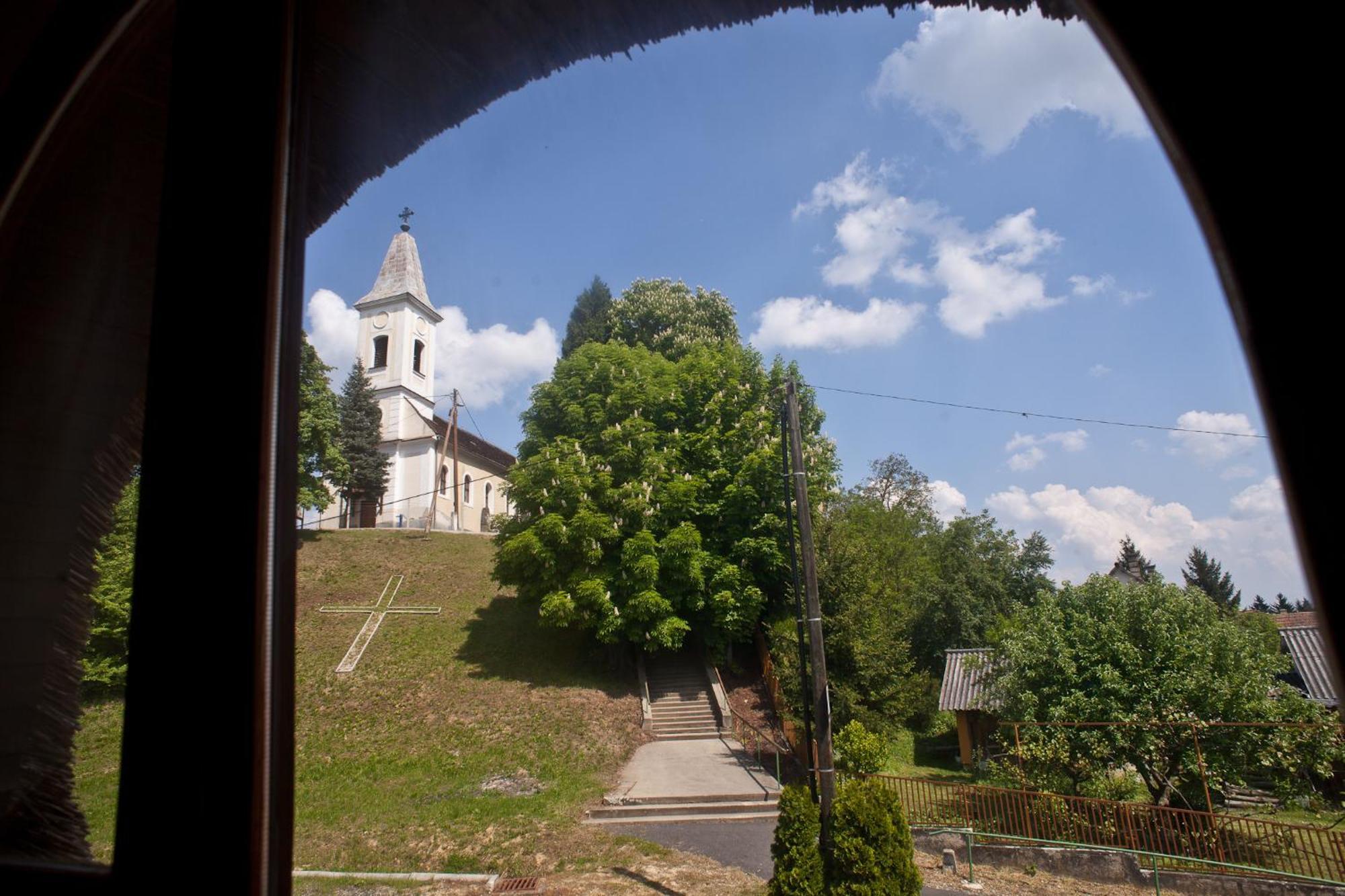 St.Michael Panzio Lovaspark Vasszentmihály Стая снимка